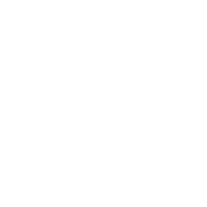 Logo S2B